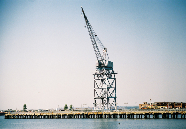 crane